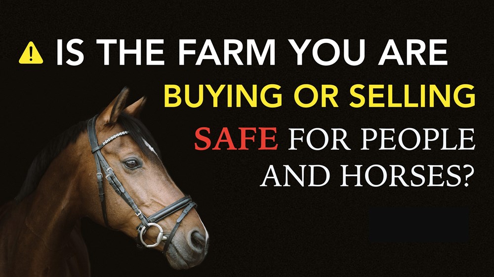 IMPORTANCE OF HORSE FARM SAFETY Image #2
