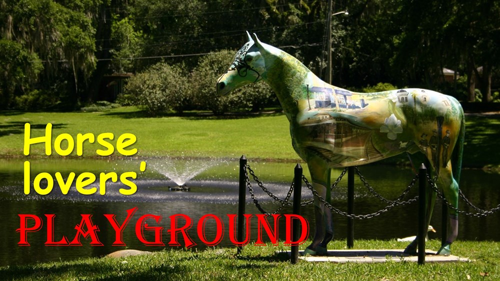 Horse lovers' playground Image #1